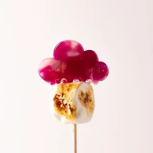 NEW La pince rêve Iris