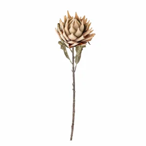Fleur artificielle - Protea Tige, Nature D20xH76 cm