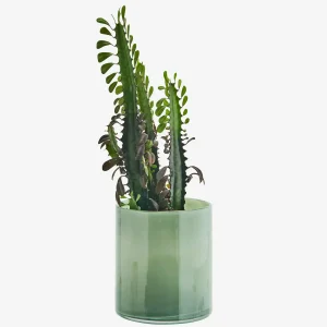 Pot de fleurs en verre - Couleur : Vert